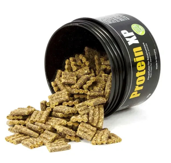 Protein XP