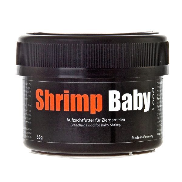 Shrimp BABY